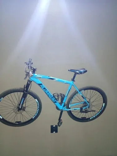 Bicicleta aro 29