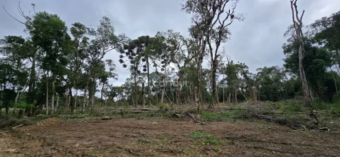 Terreno rural à venda em Tijucas do Sul