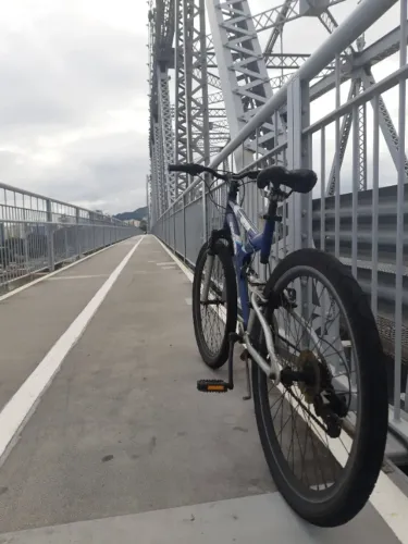 bicicleta fischer vector aro 26 21 marchas
