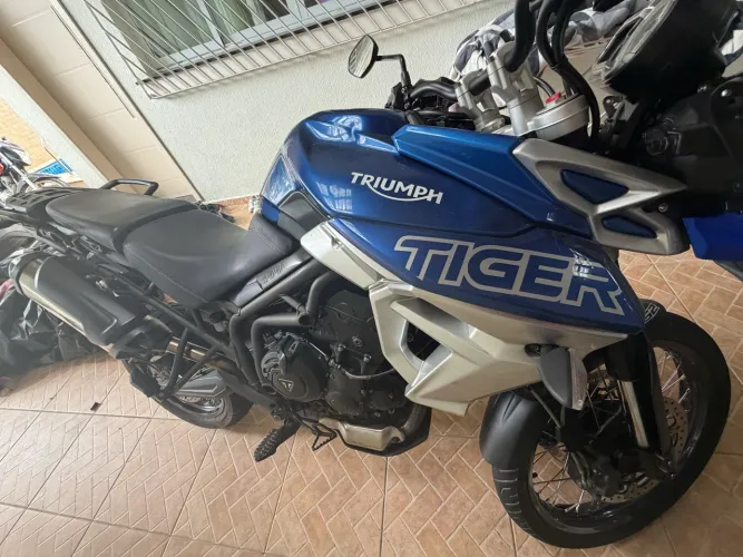 Tiger 800