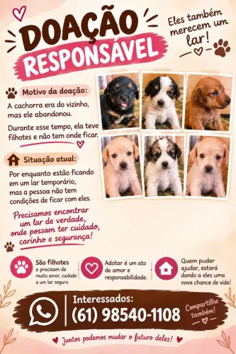 Doação responsável