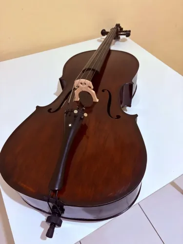 Violoncelo Eagle CE300