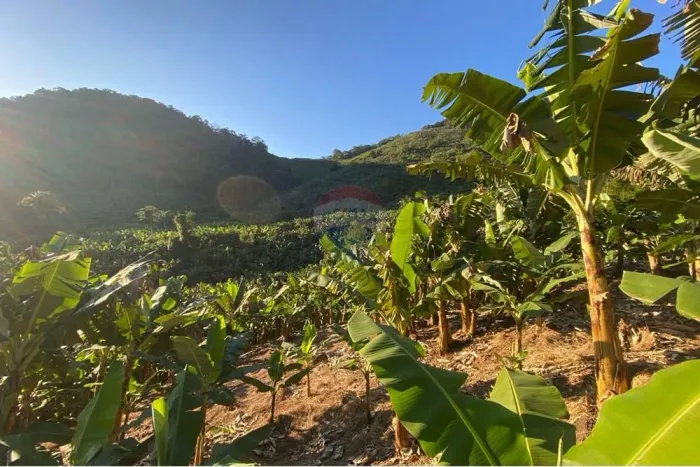 Fazenda 60 ha à venda em Miracatu com 70 mil pés de banana