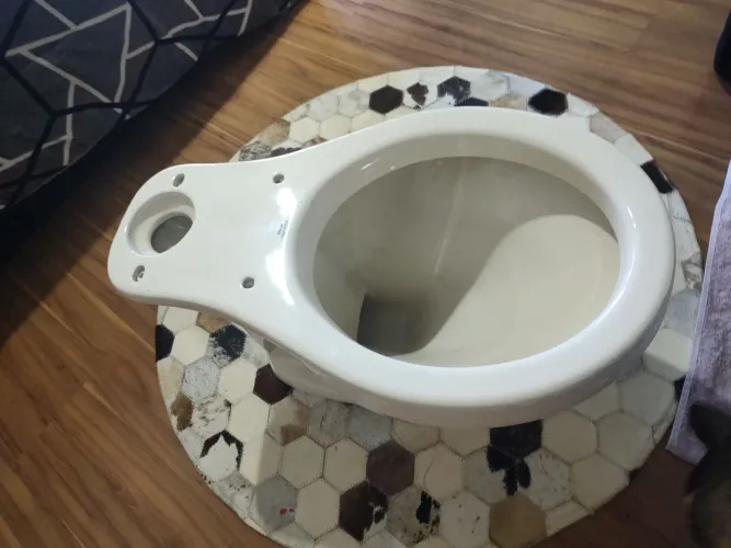 Vaso sanitário deca cor bege