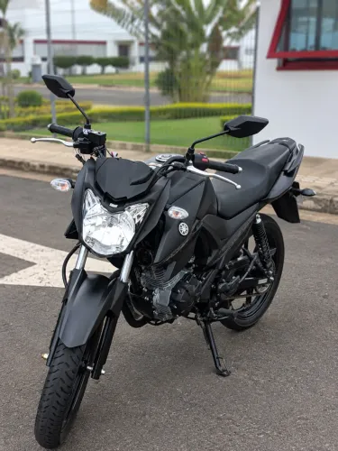 Fazer 150 UBS 2024/2025