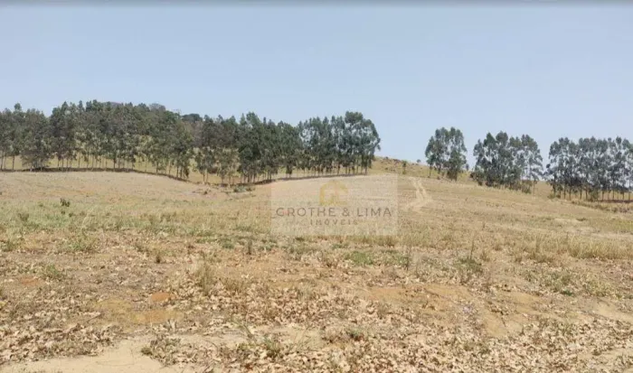 Fazenda à Venda 59 Alqueires Região de São Sebastião da Grama SP