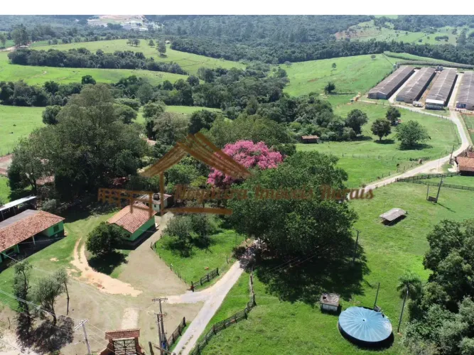 Sítio com galpões de granja, 85 mil aves, área com 20,8 alqueires