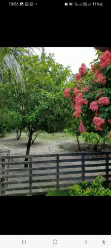 Sítio em Aquiraz 360 mil *99