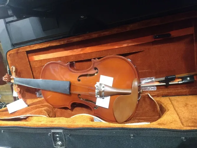 Violino Giannini 4/4 SVL Completo