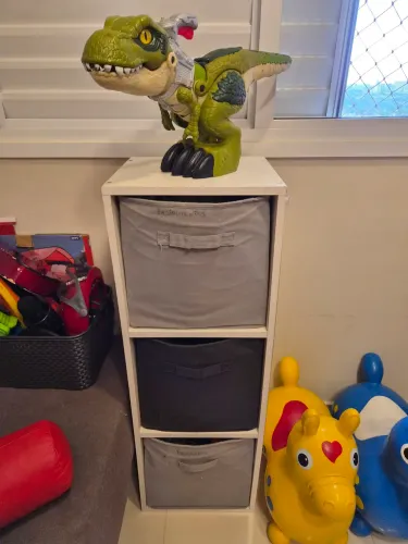 Nicho organizador