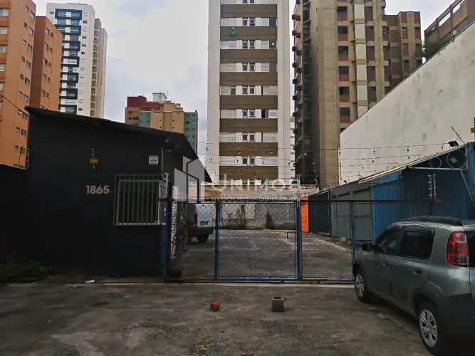 terreno - Cambuí - Campinas