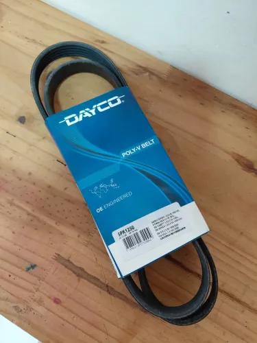 Correia Poly-V Dayco