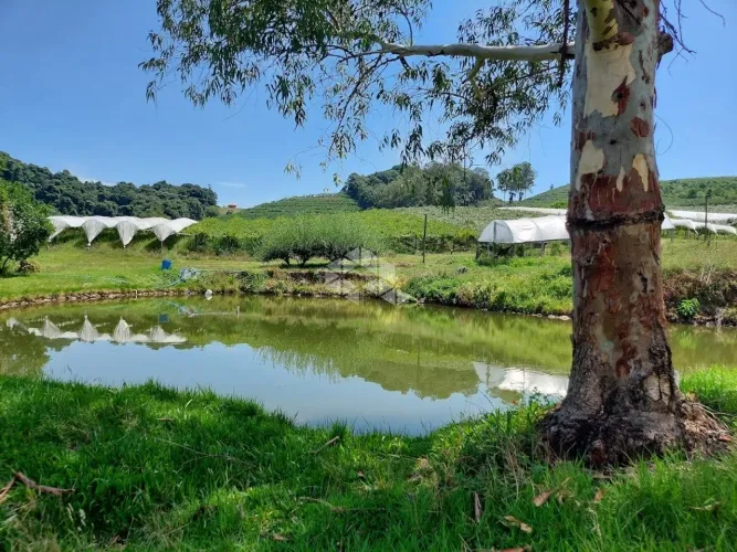 Linda área de terra em São Pedro