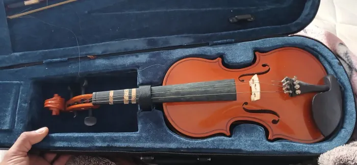 Violino