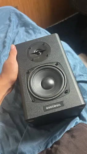 Par de Monitor de áudio kurzweil