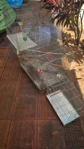 Vendo 3 gaiolas