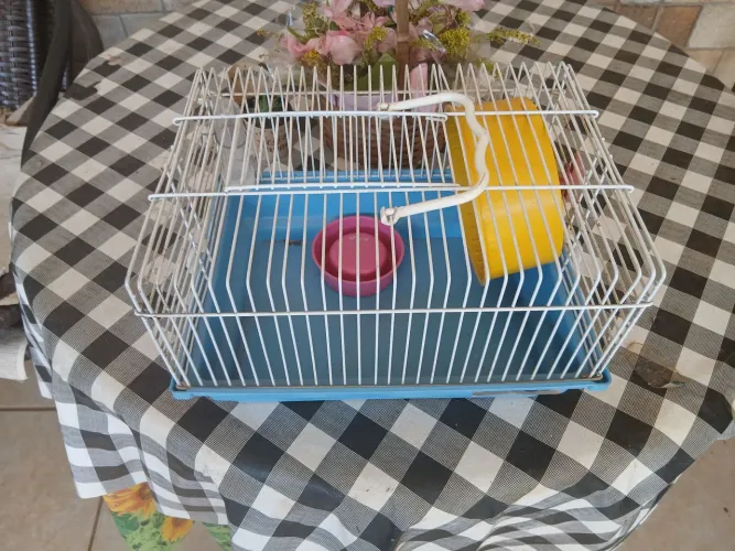 Gaiola hamster