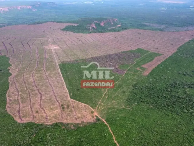 Fazenda no Sul do Piaui. 1.721 Hectares (Chapada Agricultavel)