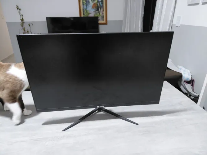 Monitor gamer ninja 2k 165hz (Ler descrição)