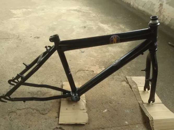 Quadro aro 20 feminino