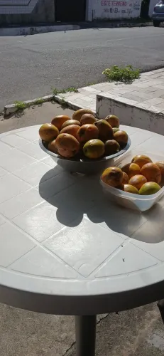 Cajarana 1 real cada
