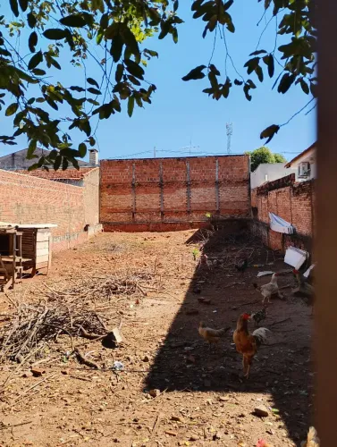 Terreno 10x25