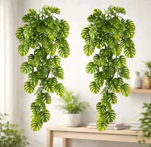8 Pendente de Jardim , Jiboia, Samabaia, Costela de Adão