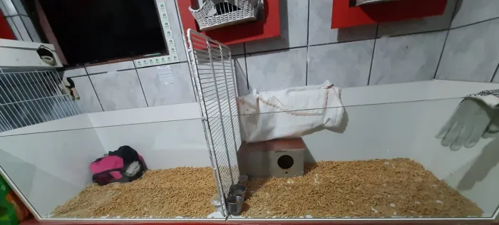 TERRÁRIO EM MDF COM BLINDEX