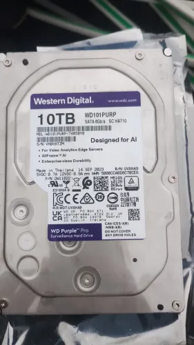 HD 10tb purple