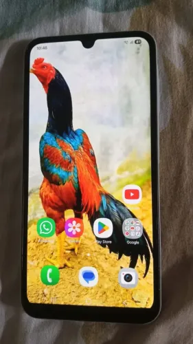 Celular 