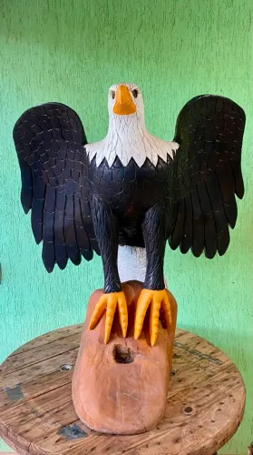Águia talhada em madeira maciça ( Arte)