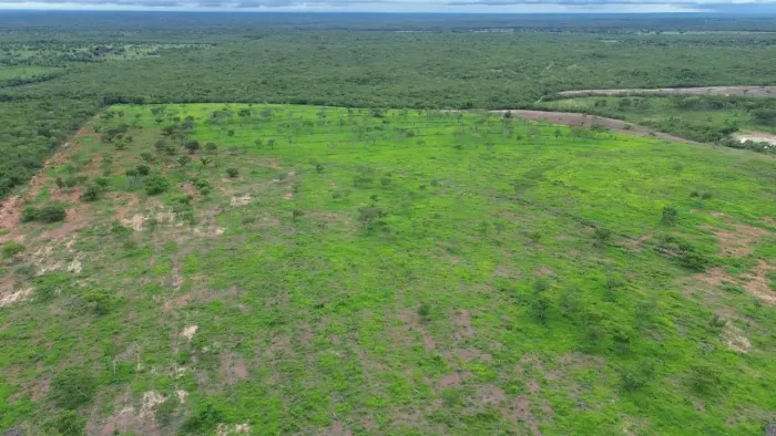 Fazenda no Tocantins