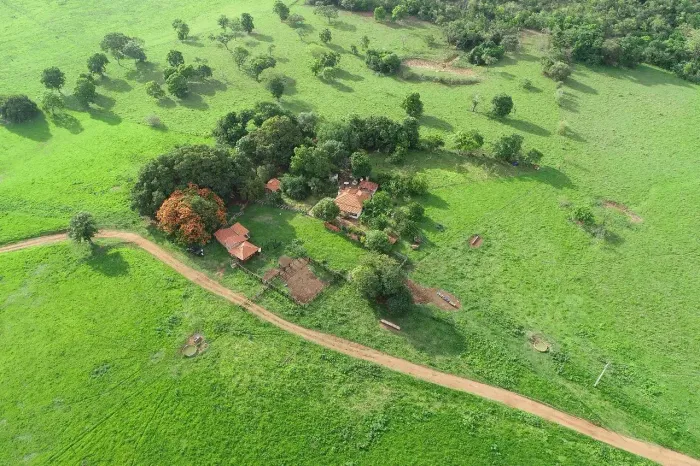 triangulo mineiro - MG, 145ha,  ou seja 30 alqueires, porteira fechada
