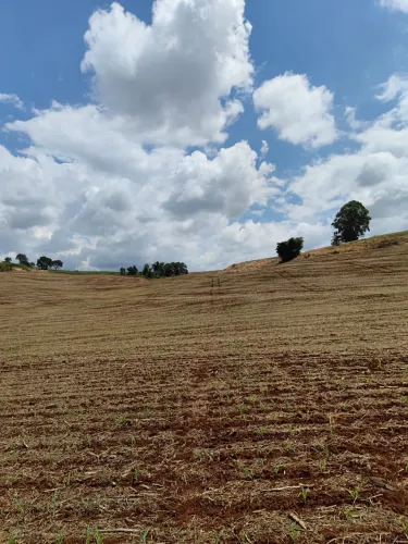 Terreno à Venda - , Califórnia