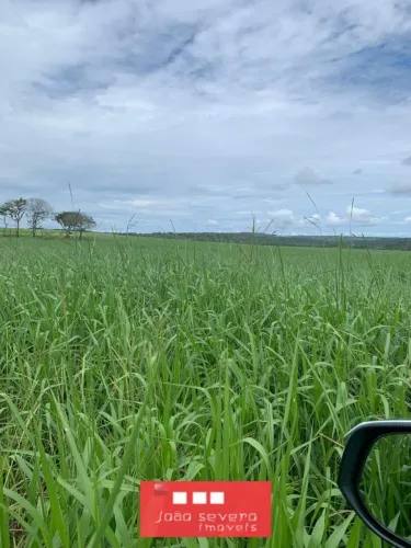Fazenda para Venda em Barra do Garças