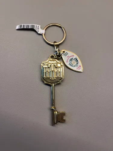 chave disney paris tower of terror original dourada colecionável