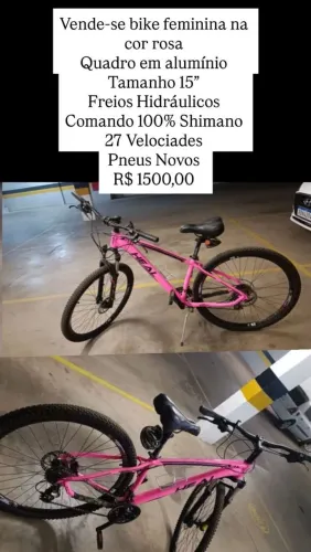 Bicicleta feminina