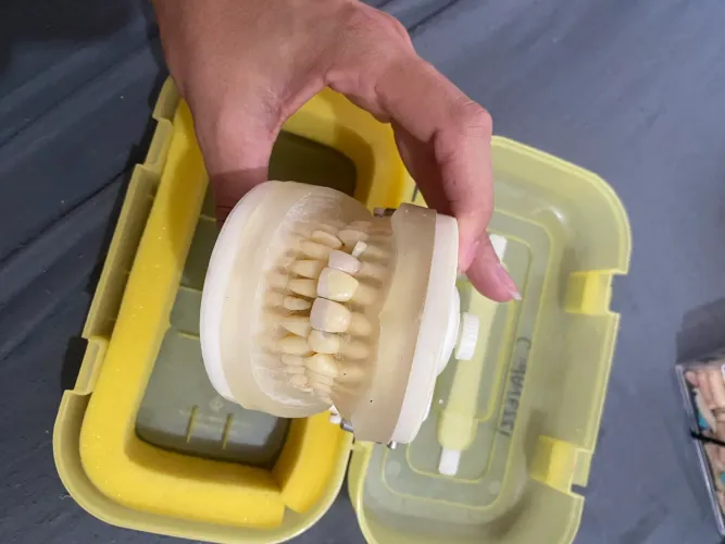 Vendo Manequin Perio/Dentistica Usado 