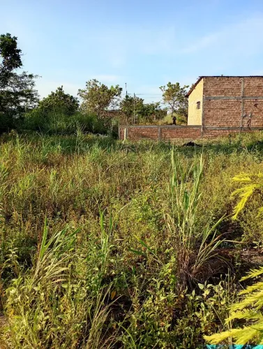 Vendo terreno no João de barro 12x25