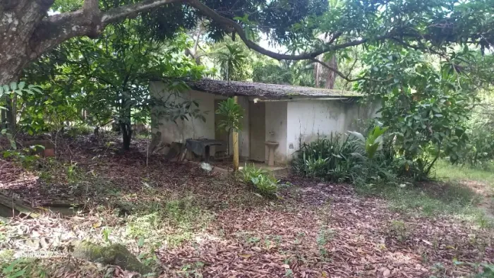 Sitio em PALMARES - Simões Filho Ba