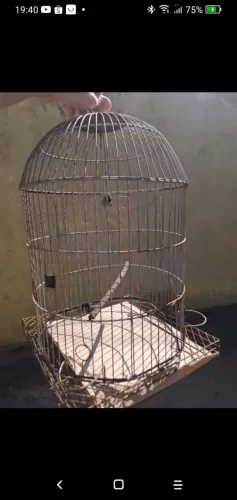 Gaiolas para passarinho