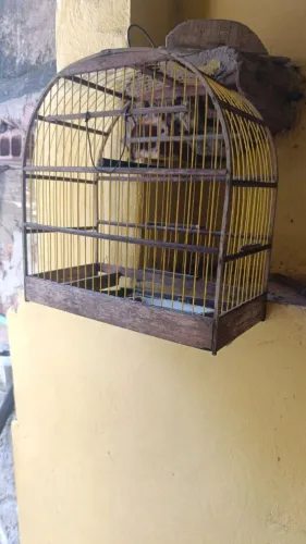 Para hoje