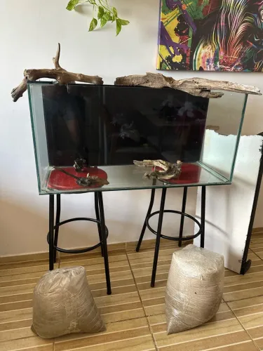 Aquário pronto pra uso