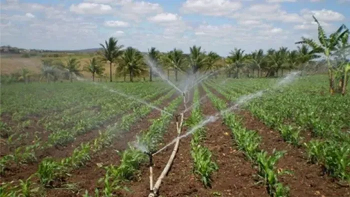 Sistema para Irrigação automático, montagem , vendas , projetos 