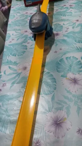 Pista