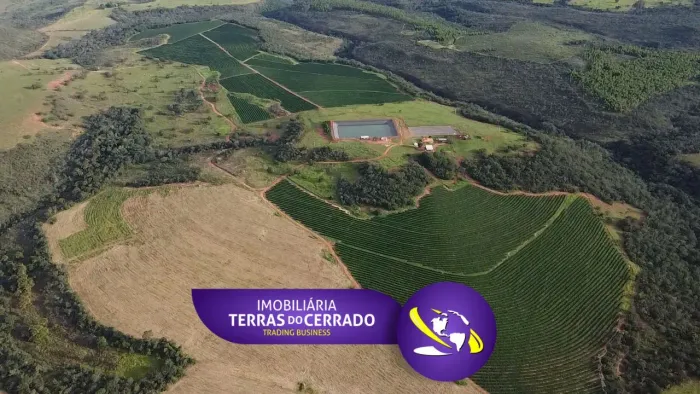 POTÊNCIA AGRONEGÓCIO: 1.670 Hectares Prontos para Café de Escala e Pecuária Forte!