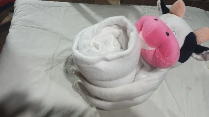 Manta com pelúcia
