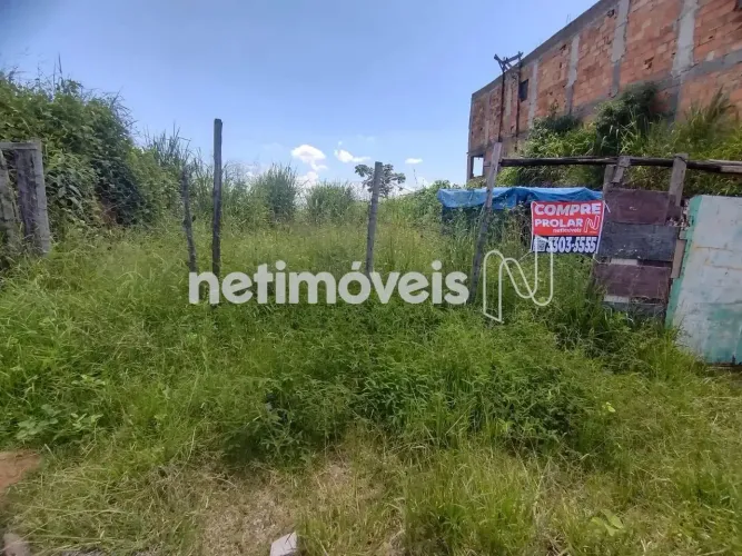 Venda Lote-Área-Terreno Menezes (justinópolis) Ribeirão das Neves