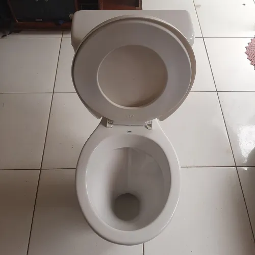 Vaso com caixa acoplada 