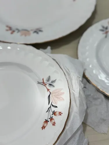 Pratos porcelana Porto Ferreira